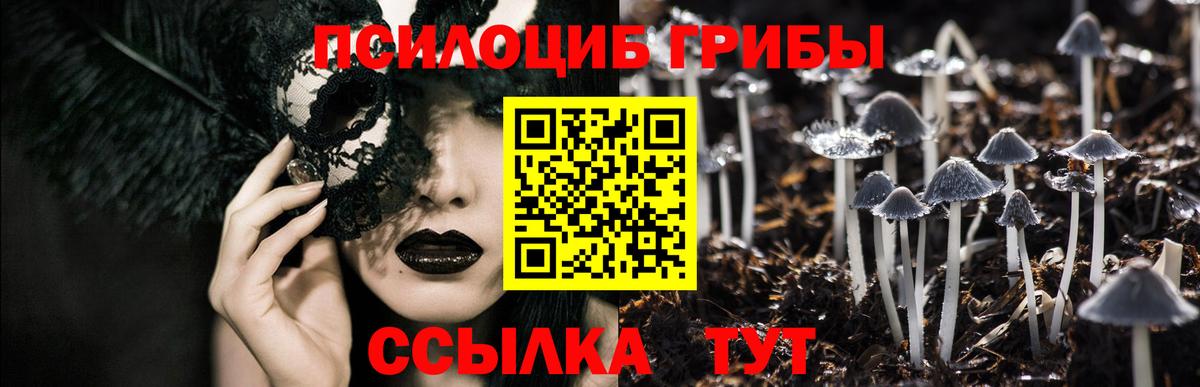 Галлюциногенные грибы мицелий  Галлюциногенные грибы Psilocybe  Каменск-Уральский  Вход с VPN 