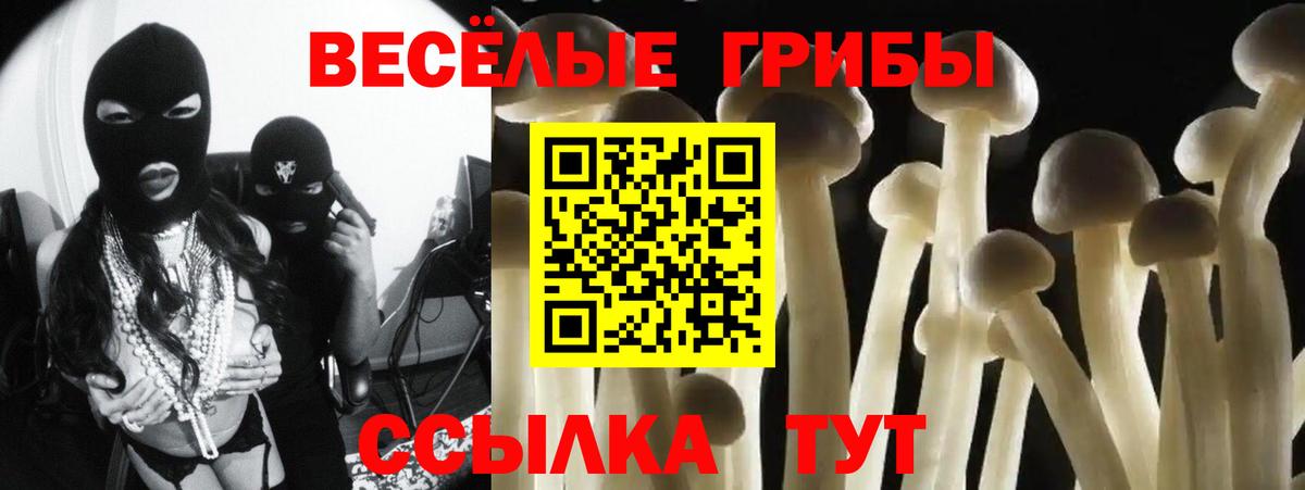 Псилоцибиновые грибы Psilocybe Каменск-Уральский